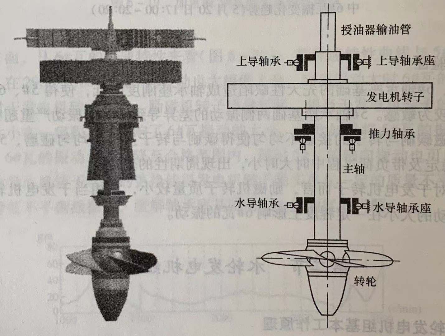 水輪發電機組